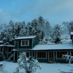 Binsar Eco Camp